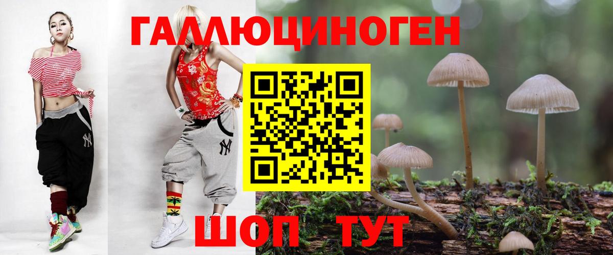 Псилоцибиновые грибы GOLDEN TEACHER Донецк